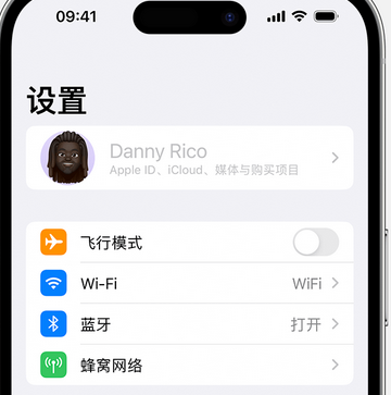 渔薪镇appleID维修服务iPhone设置中Apple ID显示为灰色无法使用