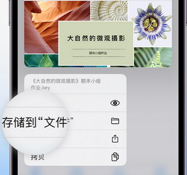 渔薪镇apple维修中心分享iPhone文件应用中存储和找到下载文件