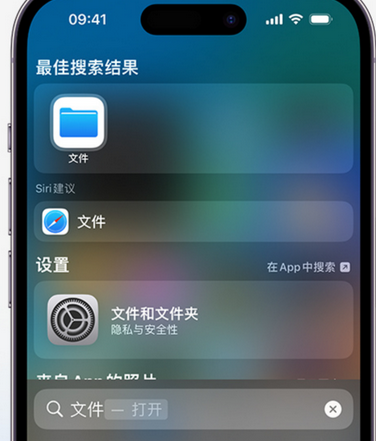 渔薪镇apple维修中心分享iPhone文件应用中存储和找到下载文件