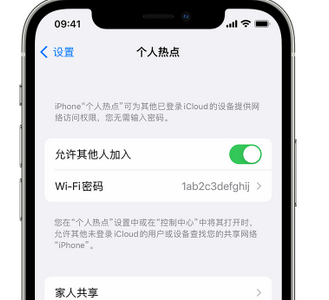 渔薪镇apple服务站点分享iPhone上个人热点丢失了怎么办