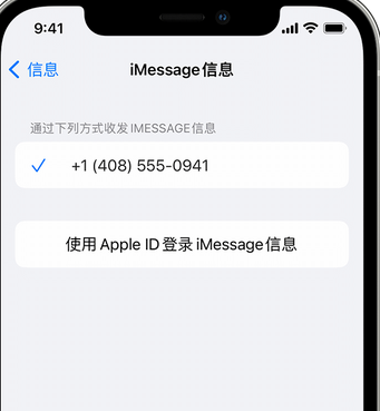 渔薪镇apple维修iPhone上无法正常发送iMessage信息 