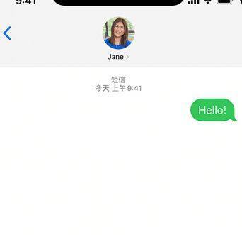 渔薪镇apple维修iPhone上无法正常发送iMessage信息