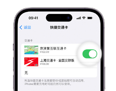 渔薪镇apple维修点分享iPhone上更换Apple Pay快捷交通卡手绘卡面 