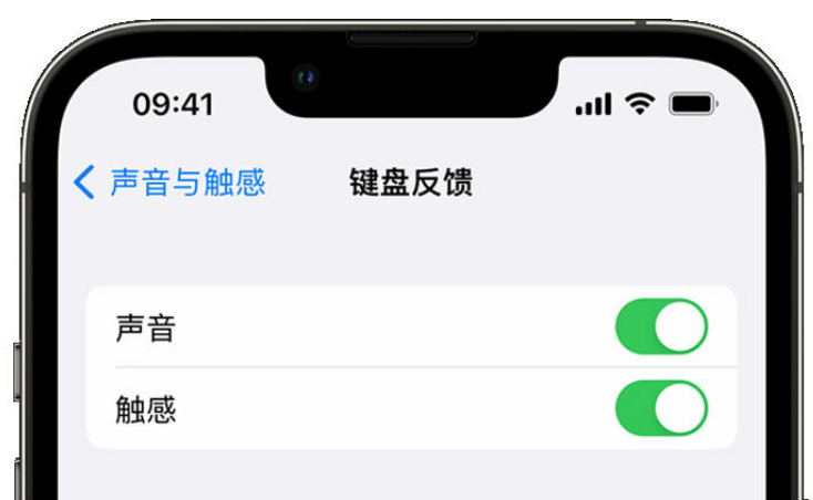 渔薪镇苹果手机维修分享iPhone 14触感键盘使用方法 