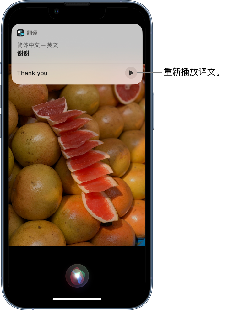 渔薪镇苹果14维修分享 iPhone 14 机型中使用 Siri：了解 Siri 能帮你做什么 