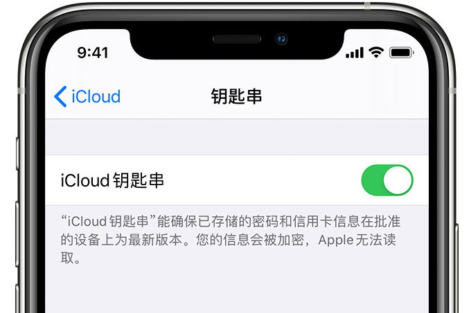 渔薪镇苹果手机维修分享在 iPhone 上开启 iCloud 钥匙串之后会储存哪些信息 