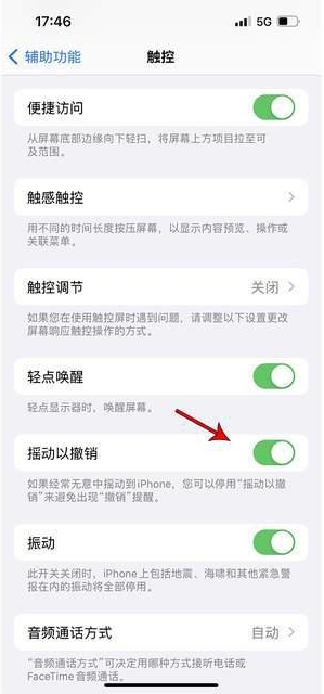 渔薪镇苹果手机维修分享iPhone手机如何设置摇一摇删除文字 